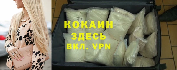молекула духа Мегион