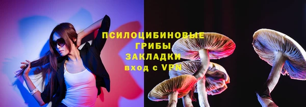 тгк Михайлов
