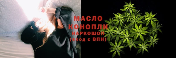 молекула духа Мегион